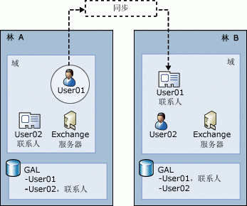 具有多个林的复杂 Exchange 组织