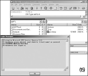 IIS服务中FTP站点的建立与维护(3)（图五）