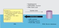 使SQL Server数据支持 XML