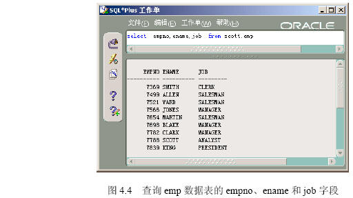 用SQL进行单表查询