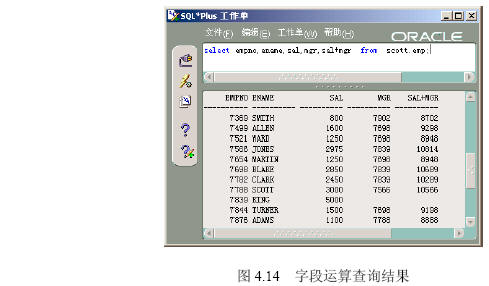 用SQL进行单表查询