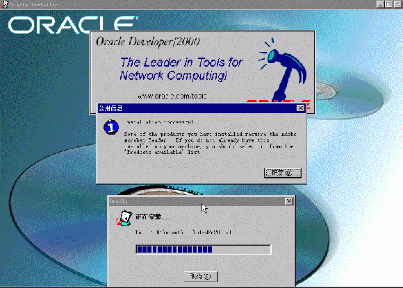 Developer/2000 R2.1 中文版 在 Windows NT 上的安装（图八）
