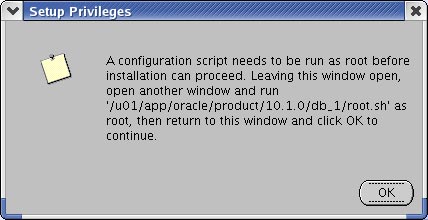 Oracle 10g学习手册2:安装与构建二(图)（图五）