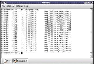 Oracle9i 数据库管理实务讲座(六)之II（图二）