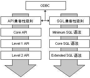 Oracle <STRONG><A href=