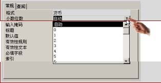 中文Access2000速成教程--1.3 在“设计”视图中设计表