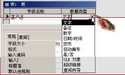 中文Access2000速成教程--1.3 在“设计”视图中设计表