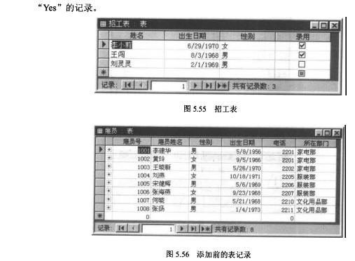 Access数据库技术（29)（图六）