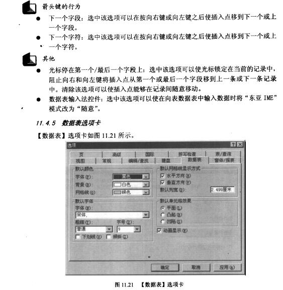 Access数据库技术（56)（图十）