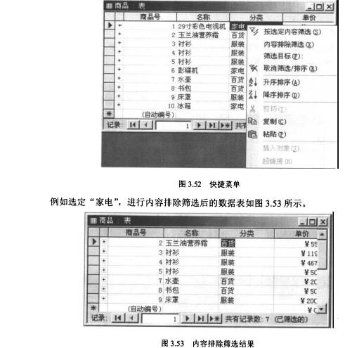 Access数据库技术（16)（图十三）