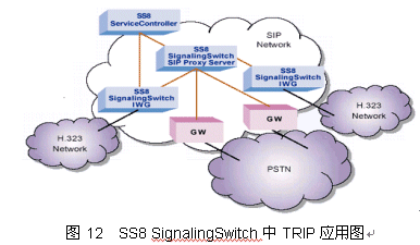 TRIP--IP电话路由的技术和应用（图十）