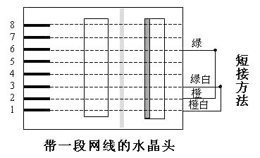 玩的就是“新奇” 单头网线也能“连网”！（图二）