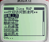 WAP应用