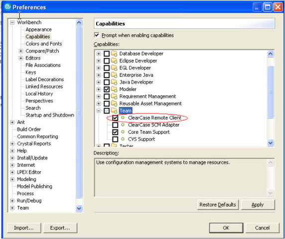 ClearCase Remote Client