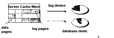 SQL Server ־ľ˵