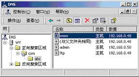 Win 2000DNSãͼ