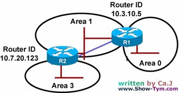 OSPF·Э(5ͼߣ