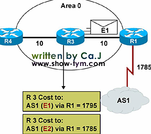 OSPF·Э(4)ͼģ