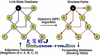 OSPF·Э(1)ͼ