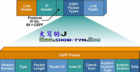 OSPF·Э(1)ͼģ