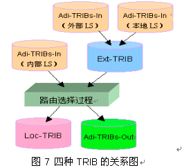 TRIP--IP绰·ɵļӦãͼ壩